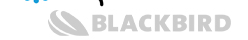 Blackbird GmbH